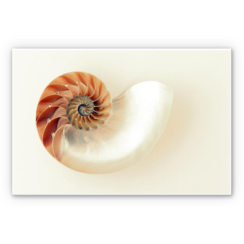 Tableau Forex - Nautilus