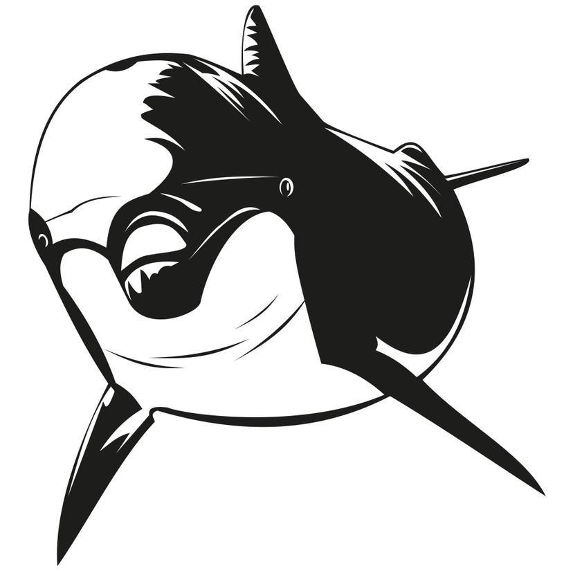 Delfino 2