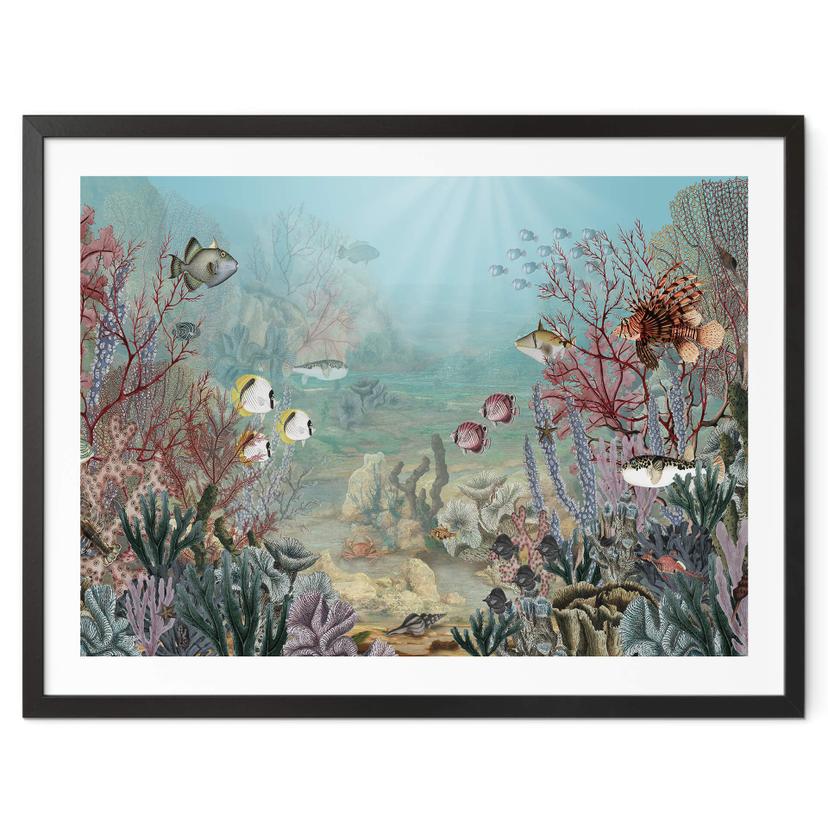 Póster Sir Edward - Habitante del coral