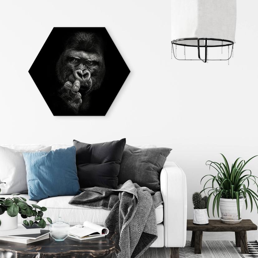 Esagoni Alu-Dibond Meermann - Gorilla