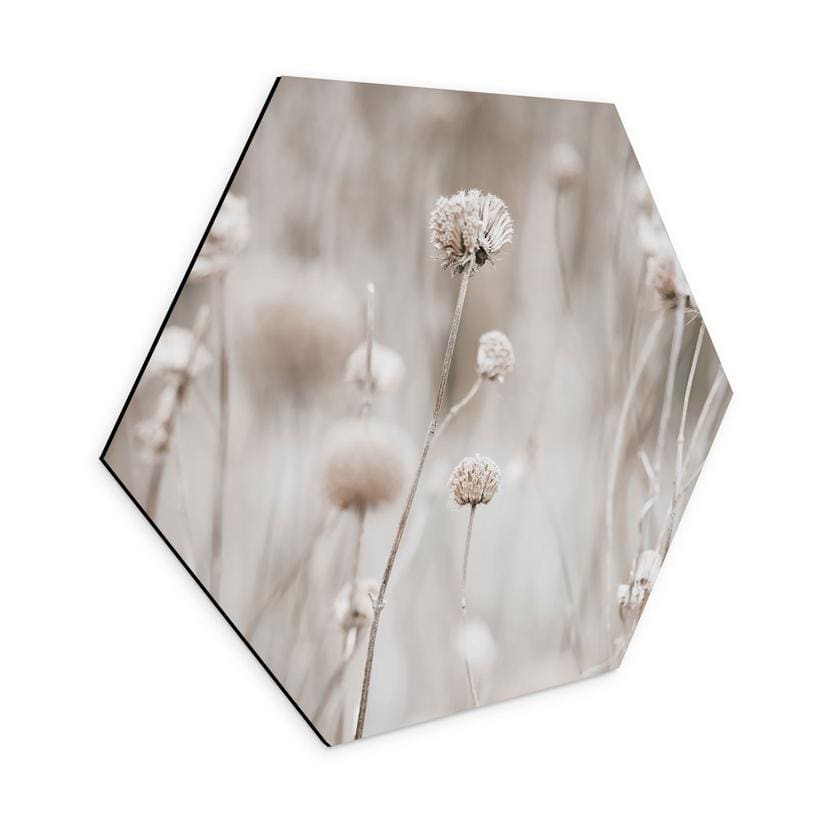 Sekskantet billede Tørrede blomster i bløde toner - Annie - Alu-Dibond