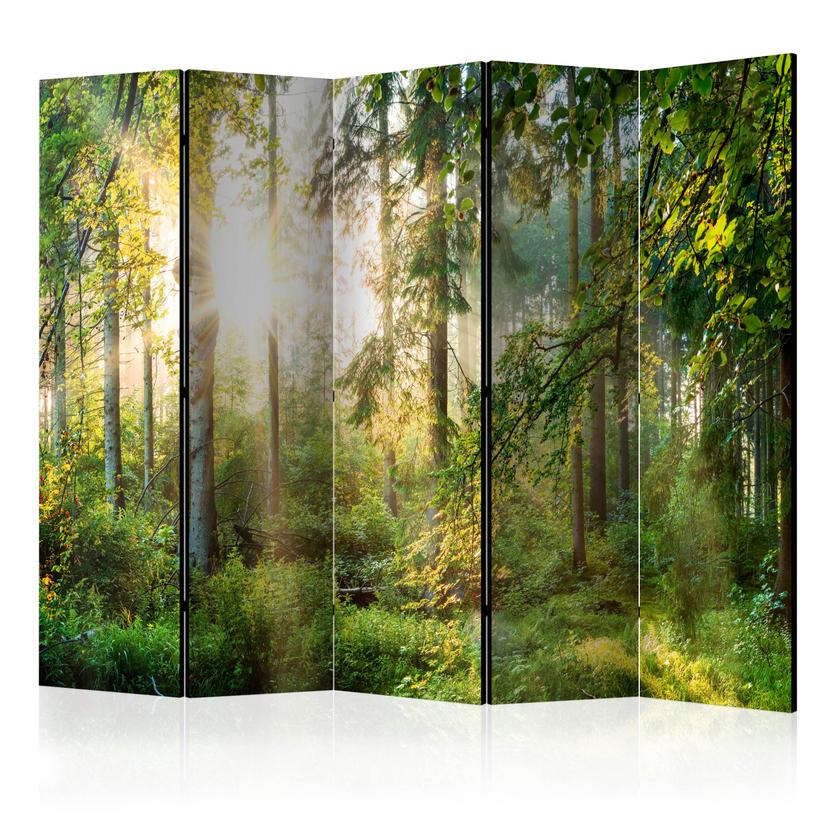 Paravent Séparation de pièce - Aventure sans retenue , 5 pièces - 225x172 cm