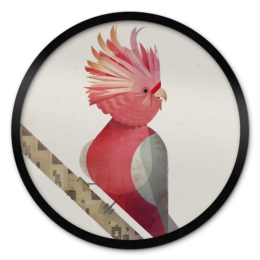 Plakat Braun - Pink Cockatoo