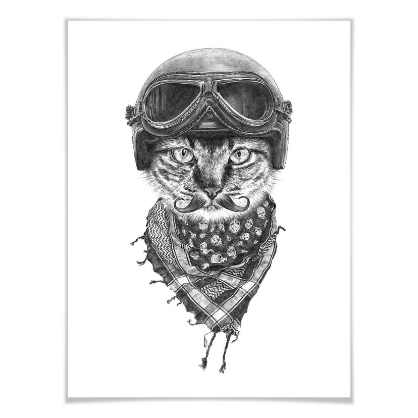 Poster Kools - Biker Cat