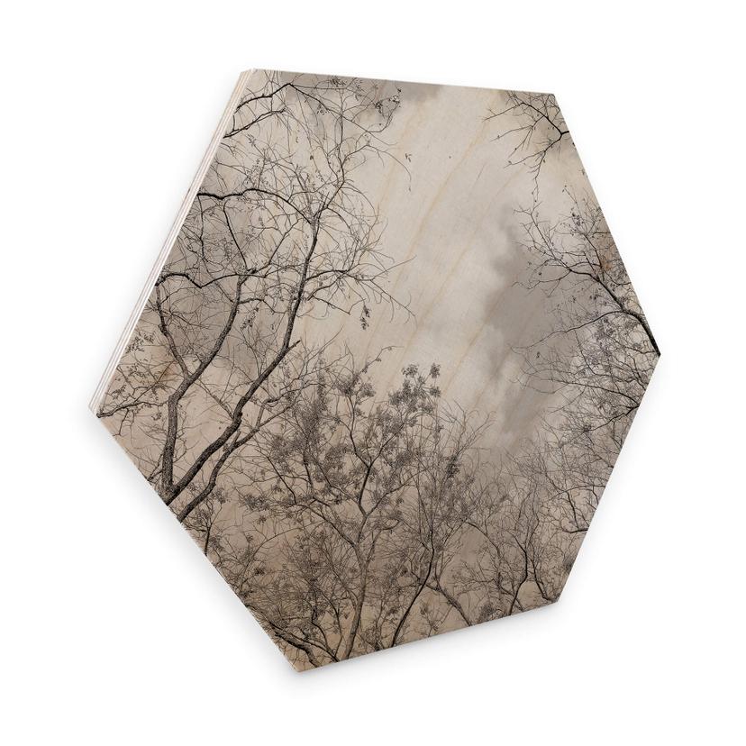 Hexagon Hout High in the Trees