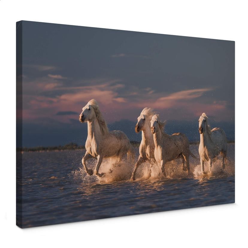 Canvas Rostovskiy - Angels of Camargue