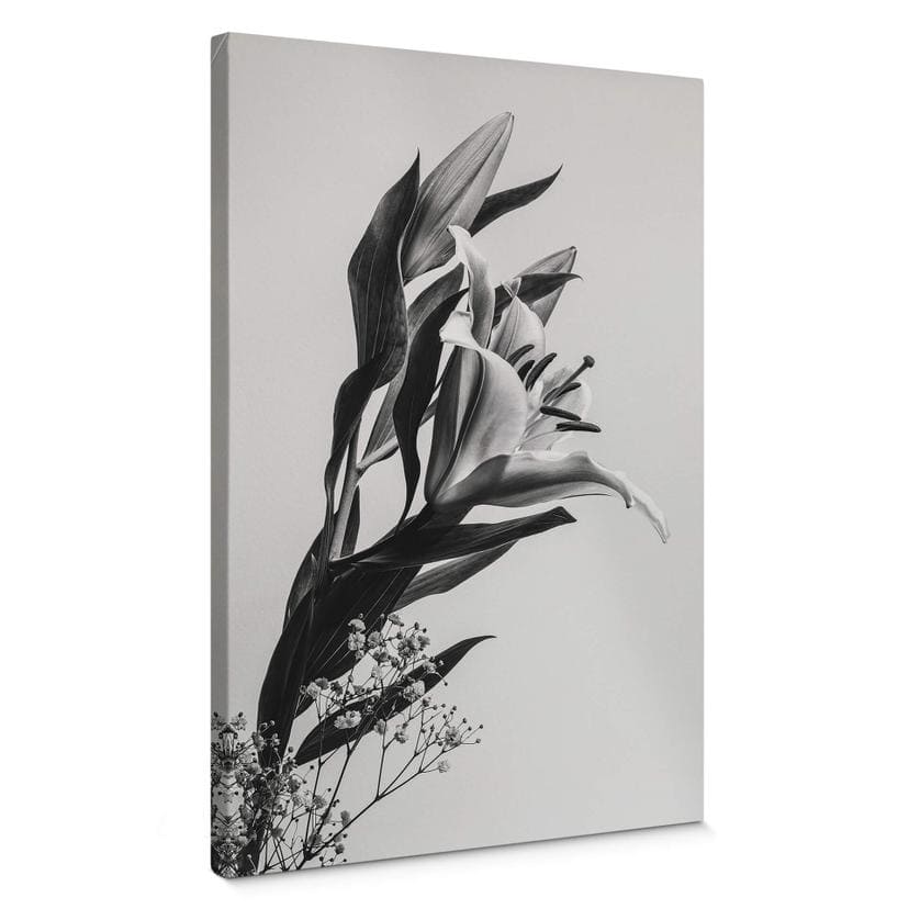 Tableau sur toile Jo - Lys magique noir et blanc
