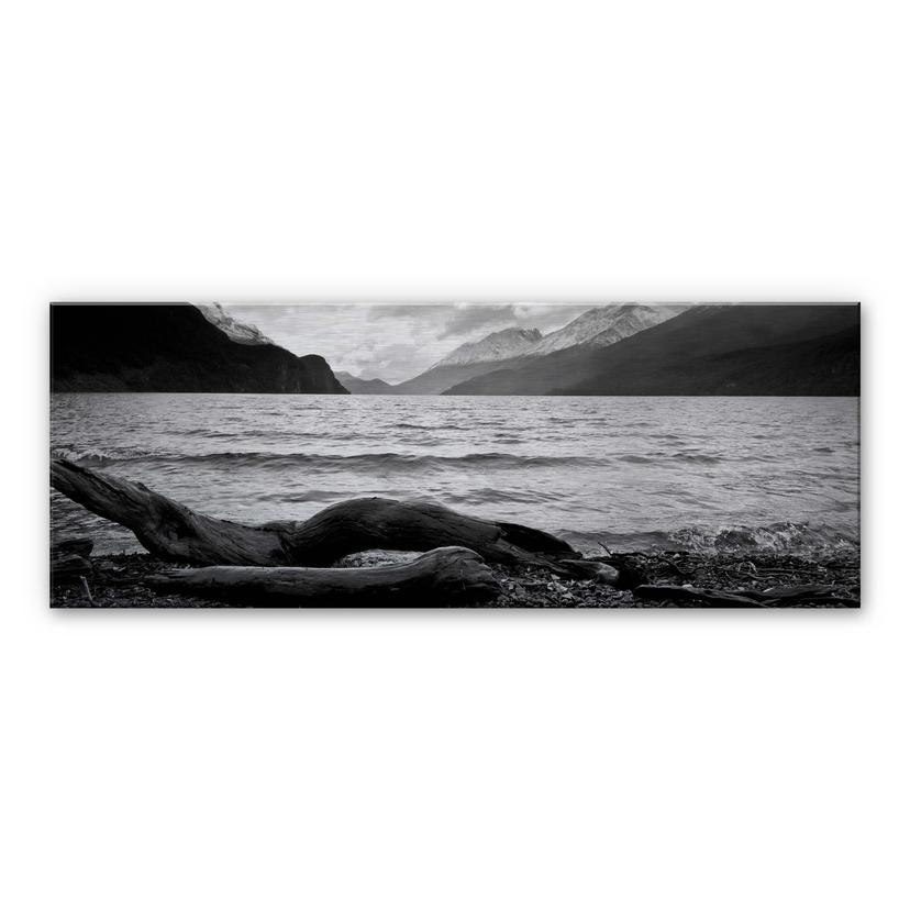 Træstub ved havet - Panorama – print på aluminium (Alu-Dibond)