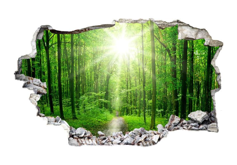 Adesivo 3D – Foresta soleggiata