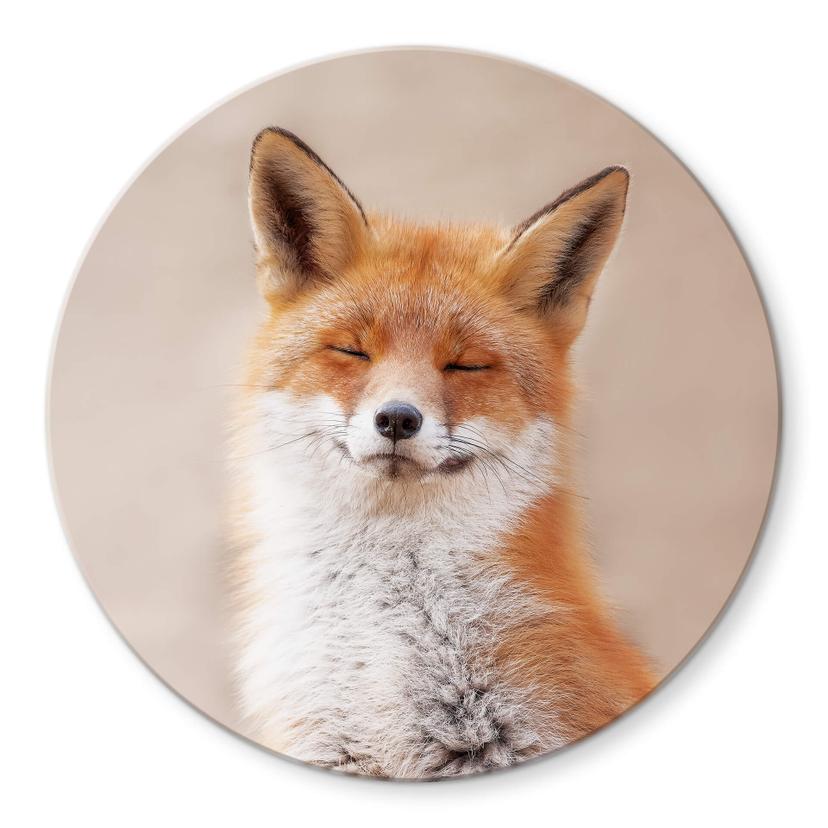 Tableau sur verre van Duijn - Renard content - Rond