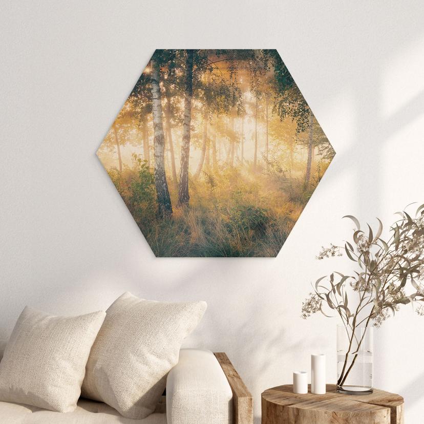 Esagono in legno Il sole nella foresta di betulle - Kado