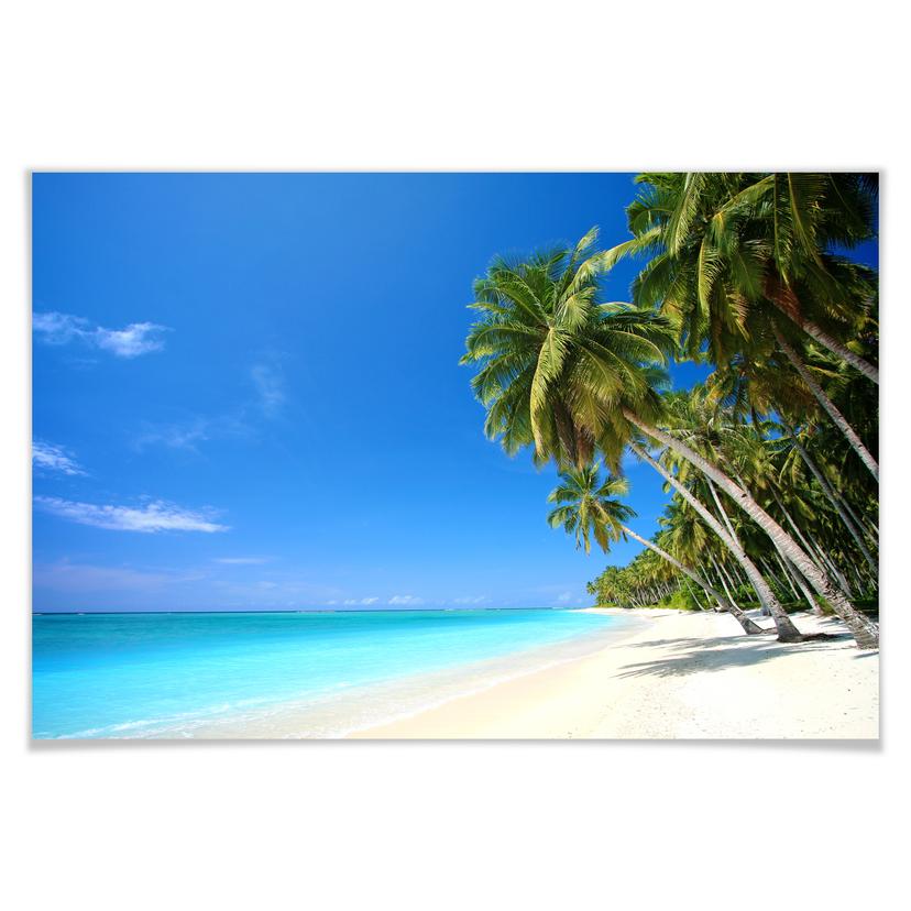 Poster - Paradise