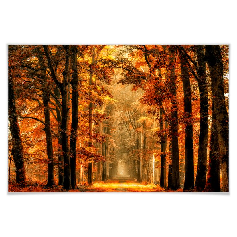 Poster van de Goor - Herfst