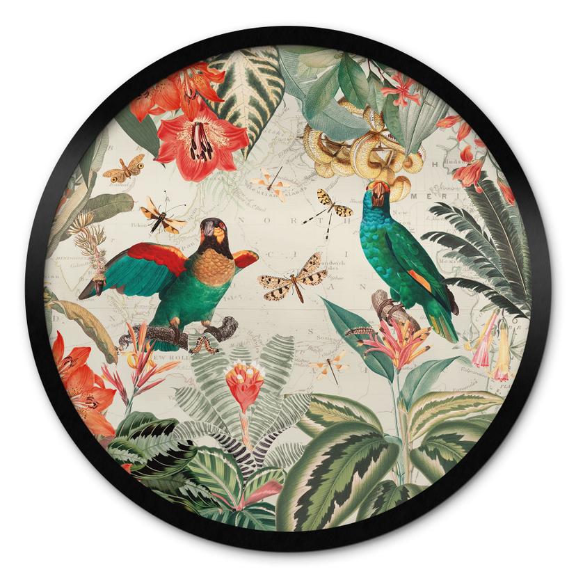 Plakat Eksotisk jungle med papegøjer - UN Designs