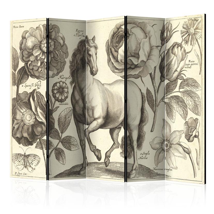 Screen room divider - Hest, 5-delt - 225x172 cm