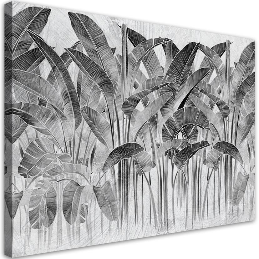 Canvasbillede, Grå bananblade