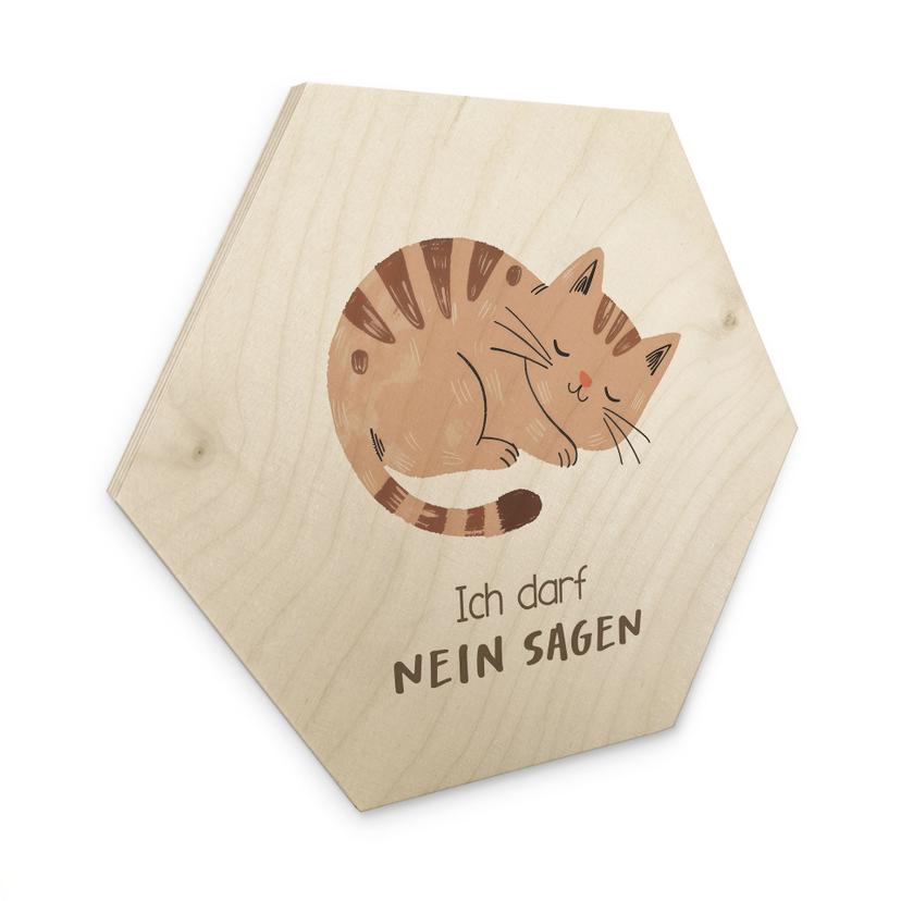 Holzbild Hexagon mit Katze - Bestärkung 'Ich darf nein sagen'