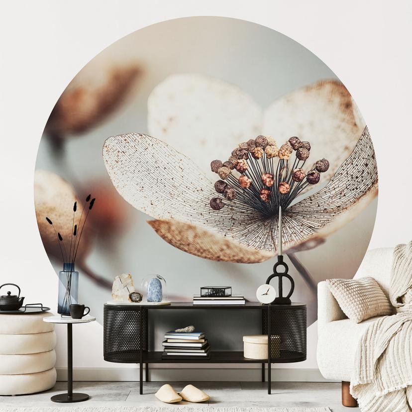 Fototapet med blomster Boho tørret blomst makro - Treechild - rund - selvklæbende/ikke-vævet