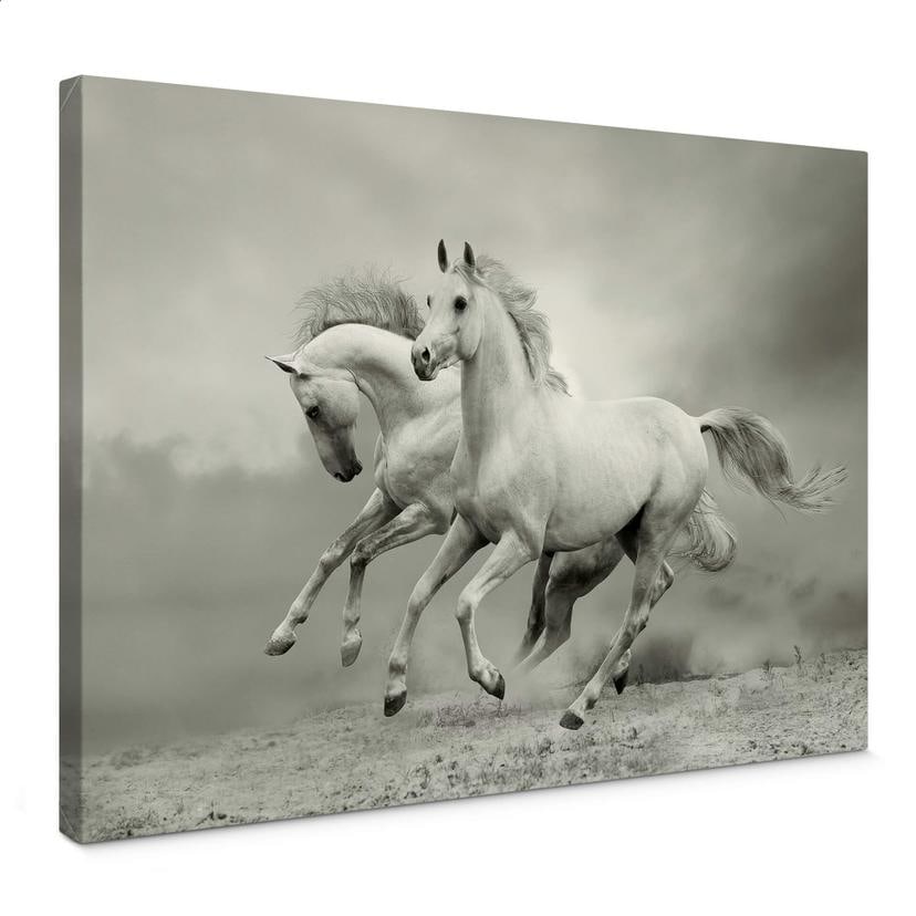 Tableau sur toile Chevaux au galop