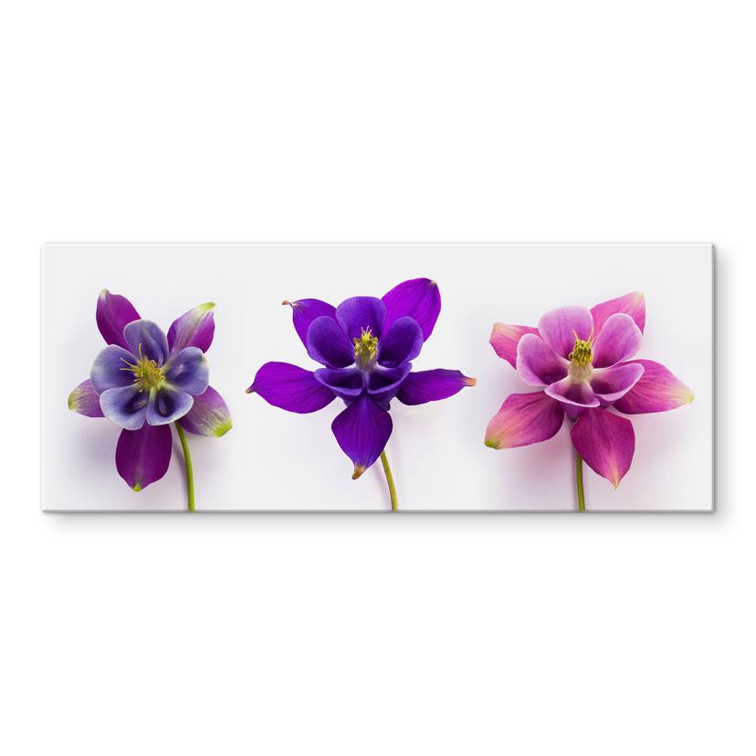 Pannello paraschizzi - Fiori