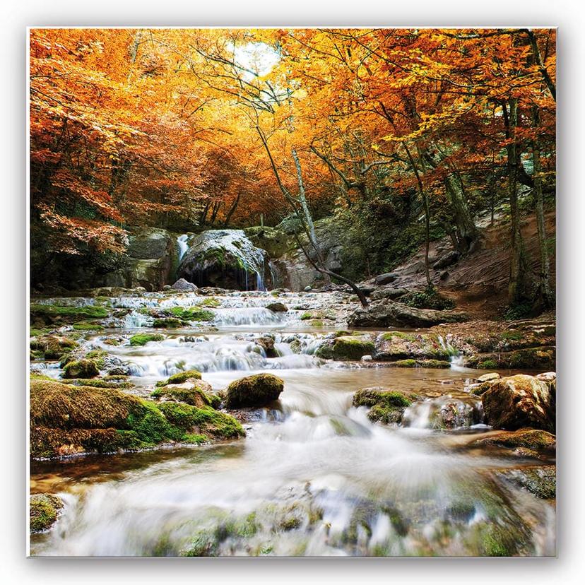 Tableau Forex - Chute d'eau en automne