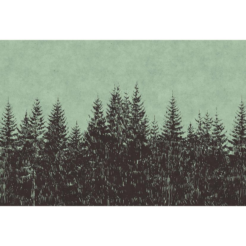 Fotomural Paredes de Patel bosque negro 2