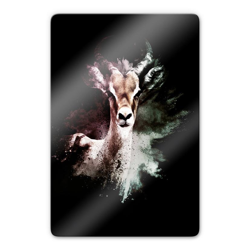 Glasbillede - Hugonnard - Wild Explosion: Antilope