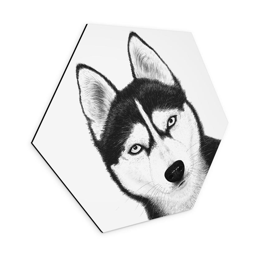 Sekskantet vægmaleri Siberian husky - hundeportræt - Korenkova - aluminium dibond