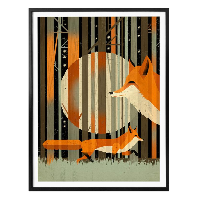 Poster Braun - Renard de minuit