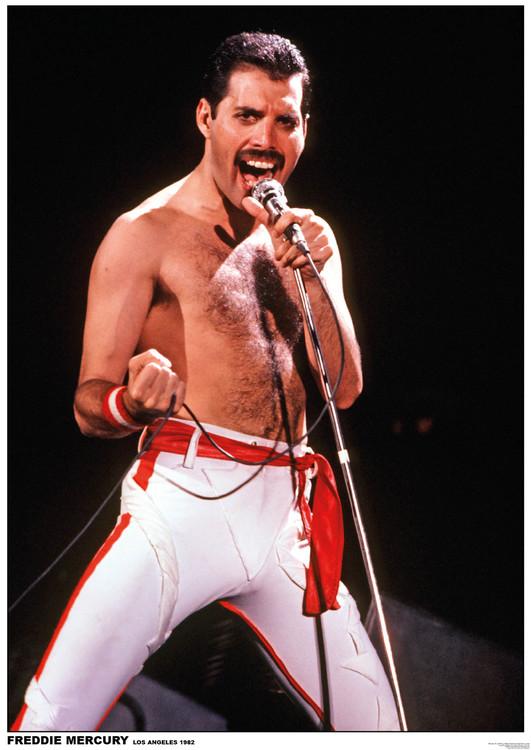 Plakat Queen (Freddie Mercury) - Los Angeles 1982, Plakat (59,4 x 84 cm)