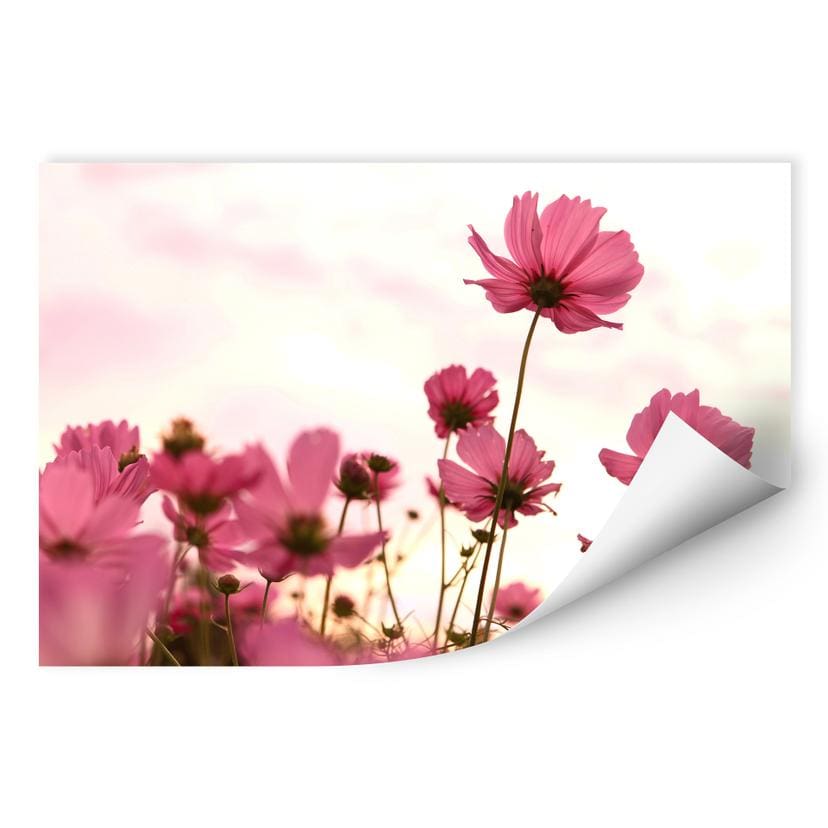 Muurprints Roze Bloemen