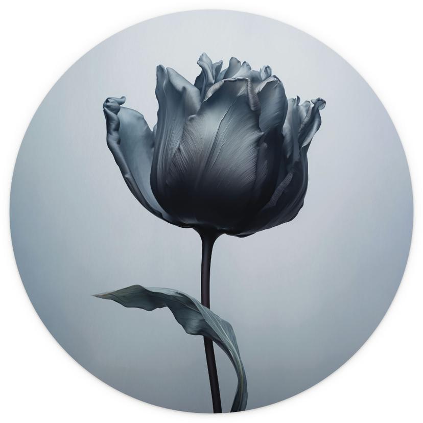 Fotomurale tondo Tulipano vellutato in nero - Paksoylu - carta da parati in tessuto non tessuto/cart
