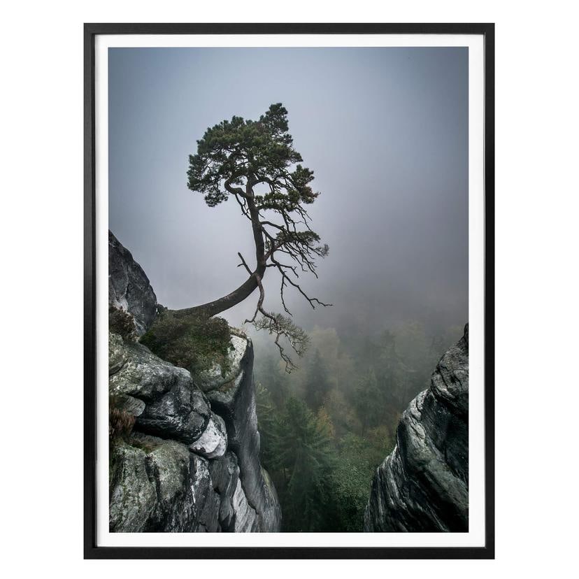 Poster Wonisch - Forces de la nature