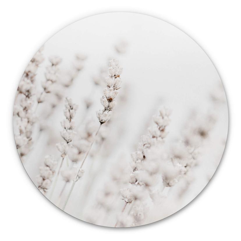 Tableau sur alu-Dibond rond 1X Studio - Herbes fines