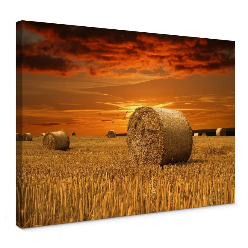 Tableau sur toile - Bottes de Paille