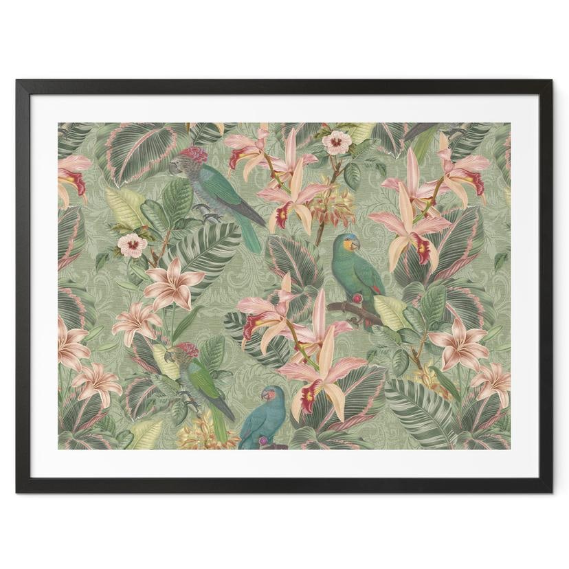 Poster jungle avec perroquets vert - Décorations Bloomery