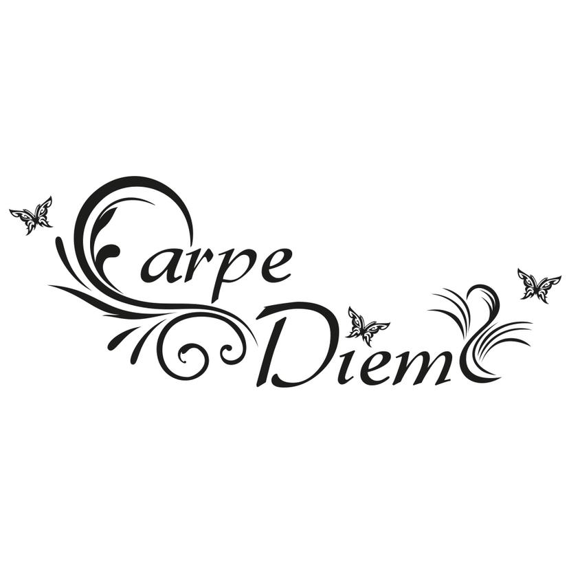 Adesivo murale Carpe Diem 05
