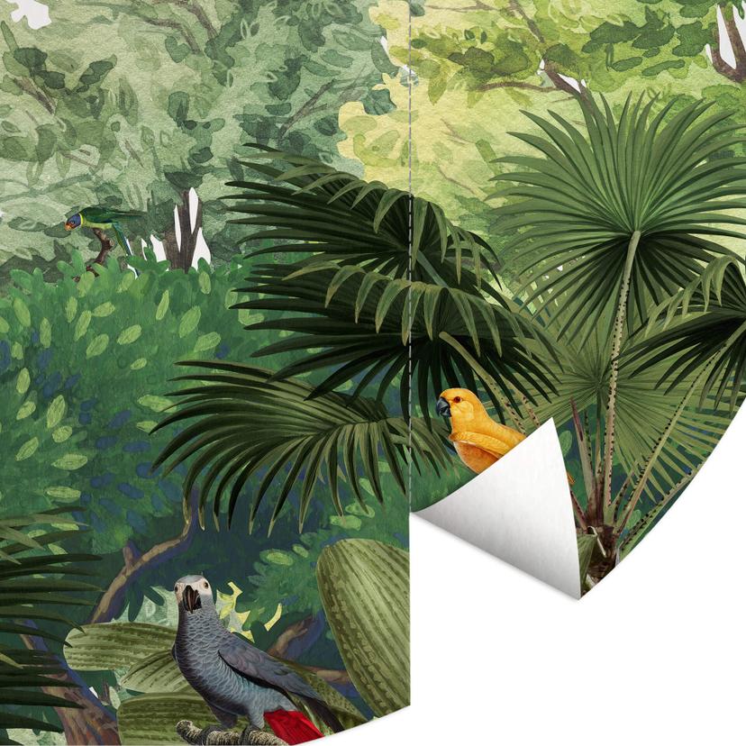 Fotomurale tondo Kikki Belle - Uccelli tropicali - carta da parati in tessuto non tessuto/carta da p