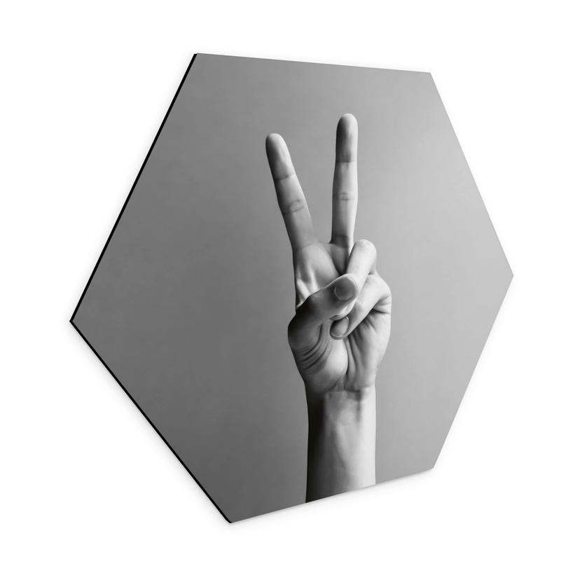 Hexagon Wandbild Victory Hand - Zeichen des Friedens und Sieges - Bühler - Alu-Dibond
