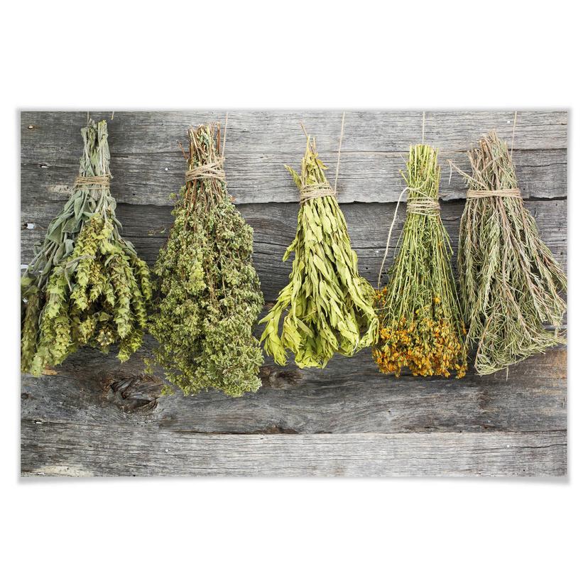 Poster - Herbes sèches