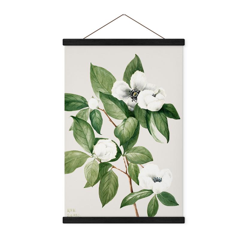 Póster de tela ilustración botánica de una camelia simulada - Walcott