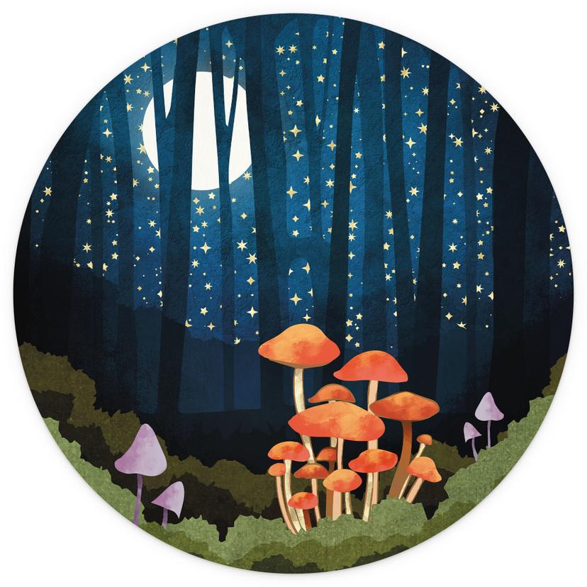 Fotomurale tondo Foresta e stelle di notte - SpaceFrog Designs - carta da parati in tessuto non tess