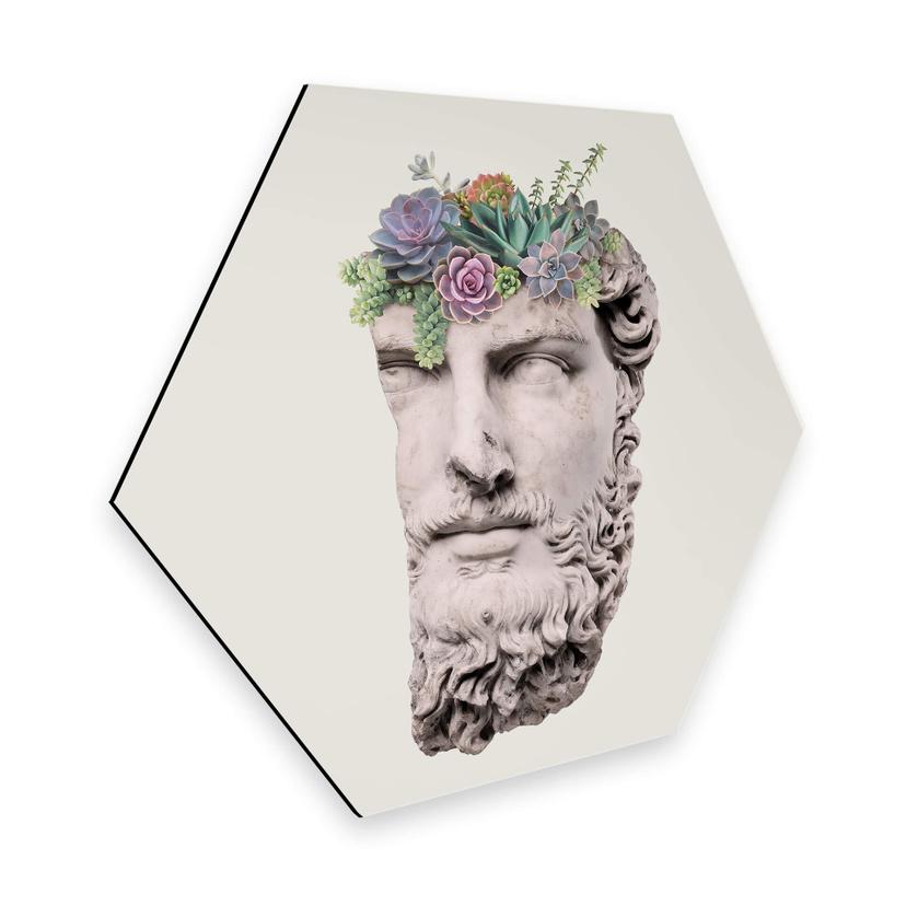 Hexagon Dibond Loose - Succulent Sculpture
