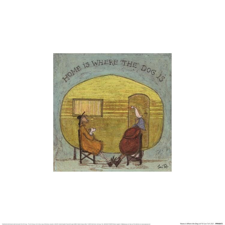 Plakat Sam Toft - Home is Where The Dog Is kunsttryk, Sam Toft (30 x 30 cm)