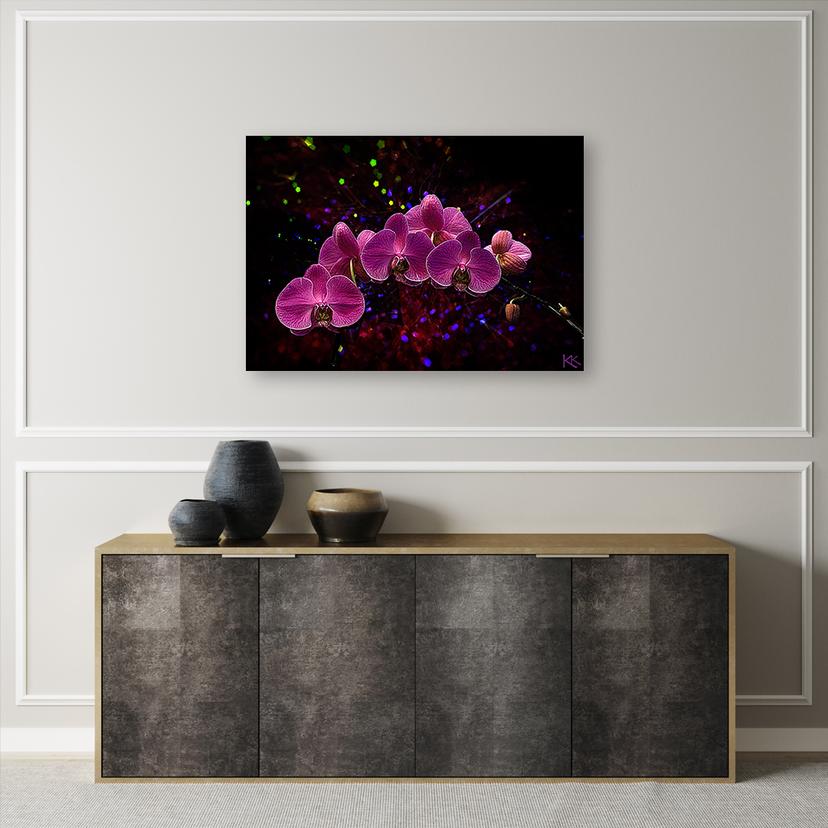 Stampe su tela, Fiori di orchidea rosa Spa