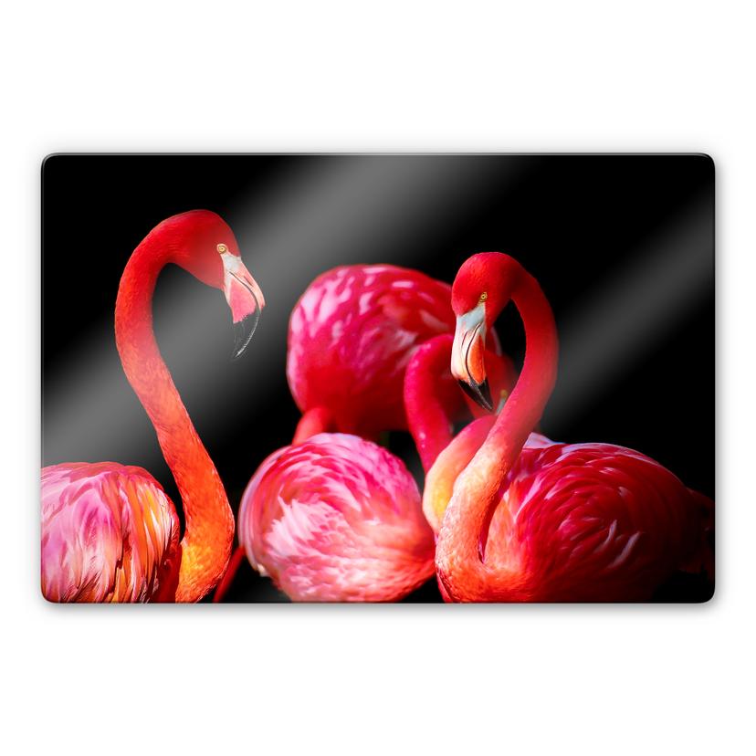 Glasschilderijen Pink Flamingo
