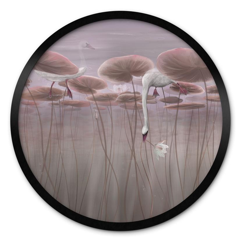 Poster Lotusblumen mit Schwan im Wasser in Altrosa - Ms Tiff - Rund