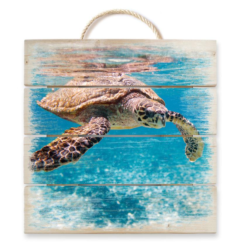 Tableau sur bois - Tortue Marine