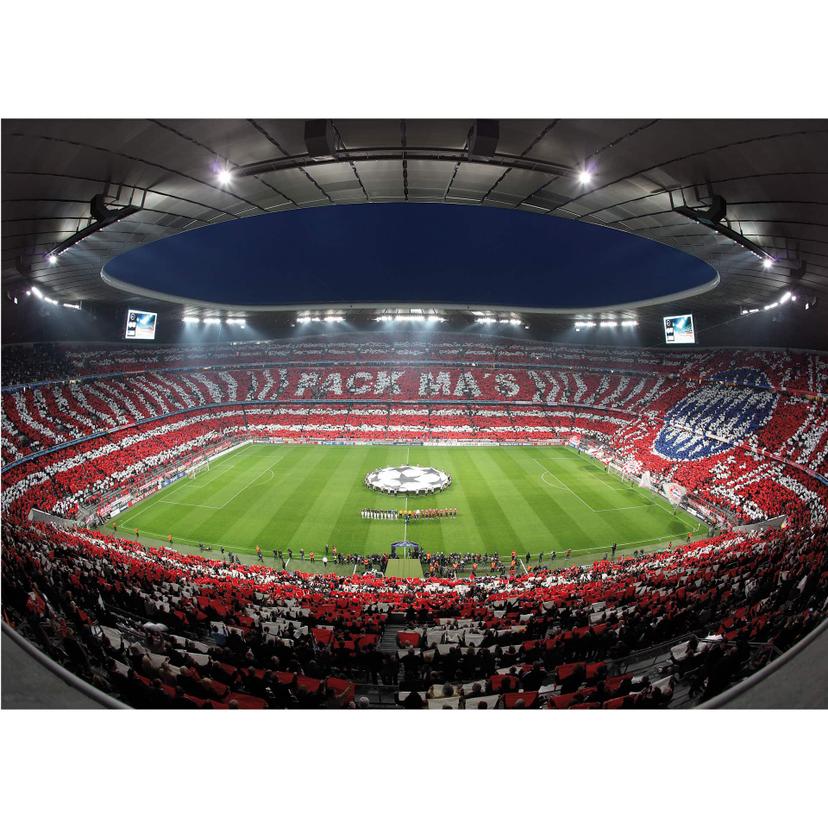 Fotomurale Bayern München Stadion Choreo Pack Ma