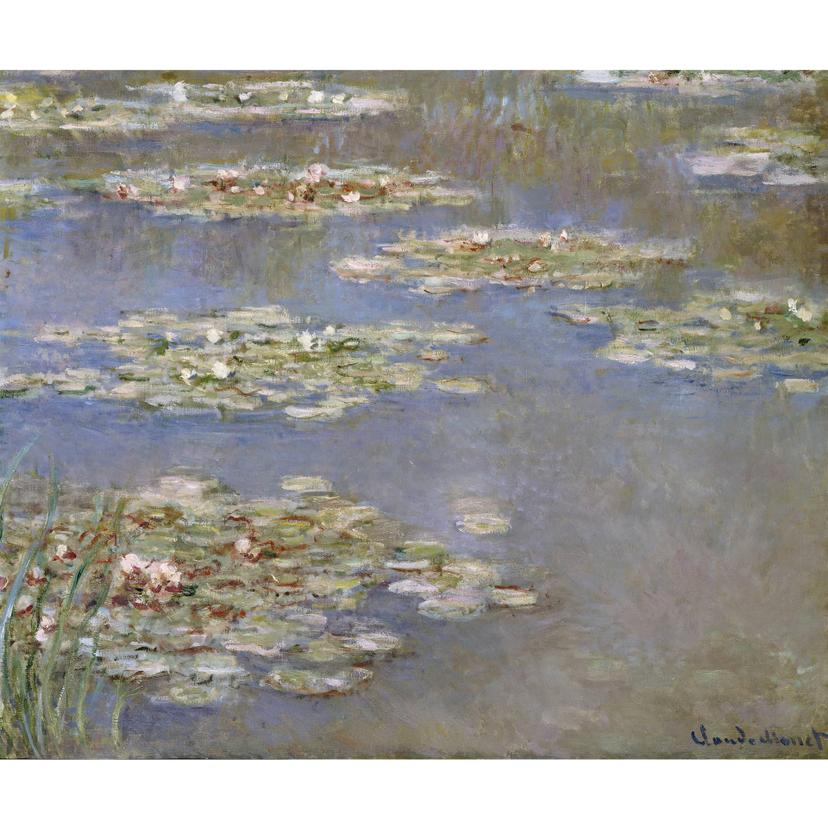 Fotomurale Monet -  Ninfee 1905